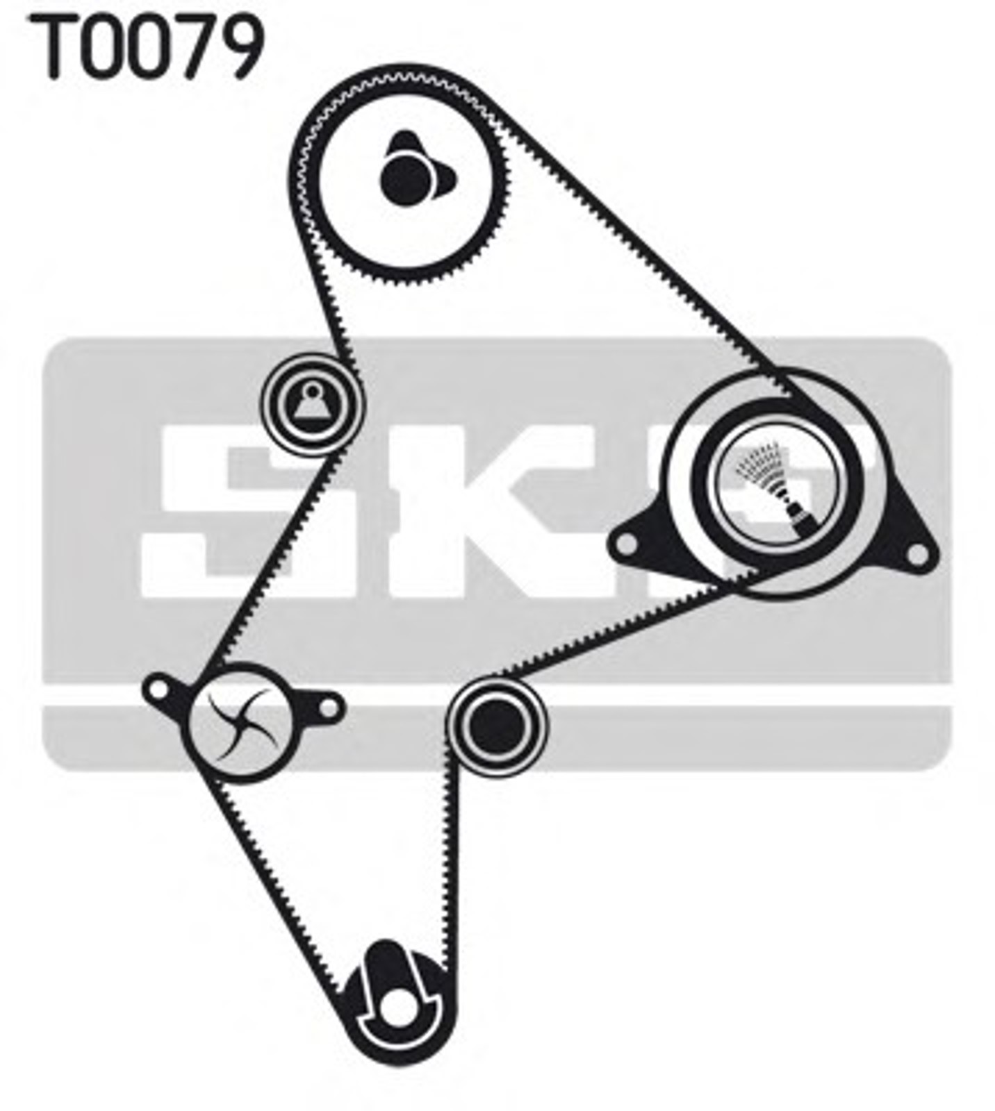 Комплект грм SKF VKMA96219