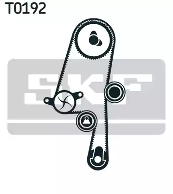 Комплект грм с водяным насосом SKF VKMC06220