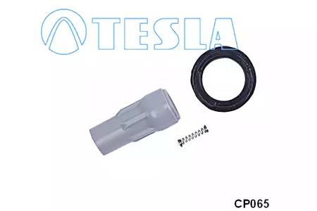 Свеча зажигания TESLA CP065
