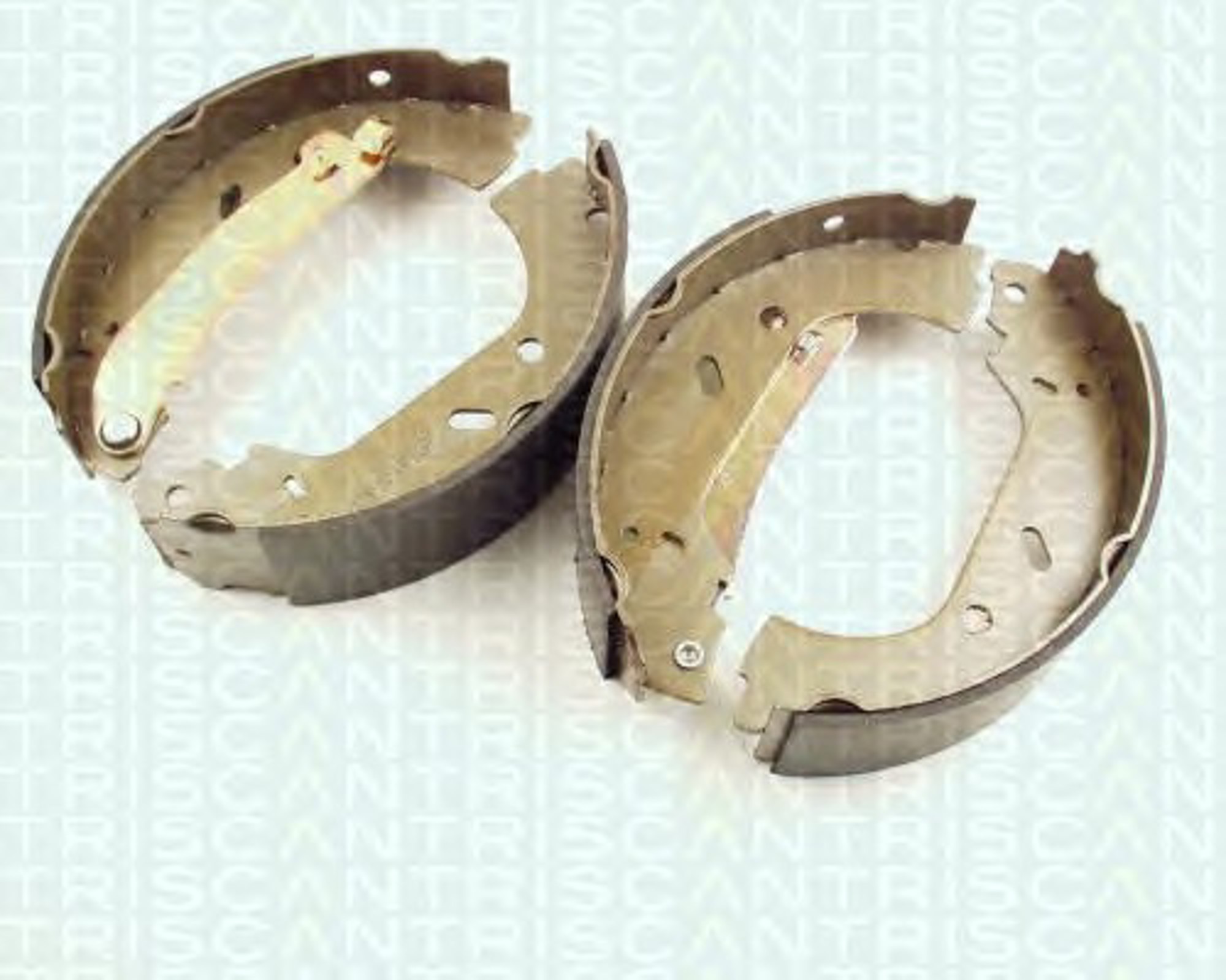 Колодки тормозные барабанные TRISCAN 8100 10004