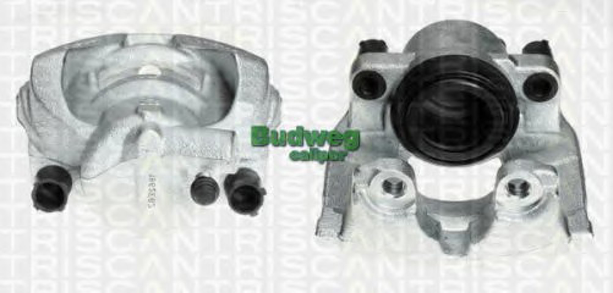 Тормозной суппорт TRISCAN 8170 343719