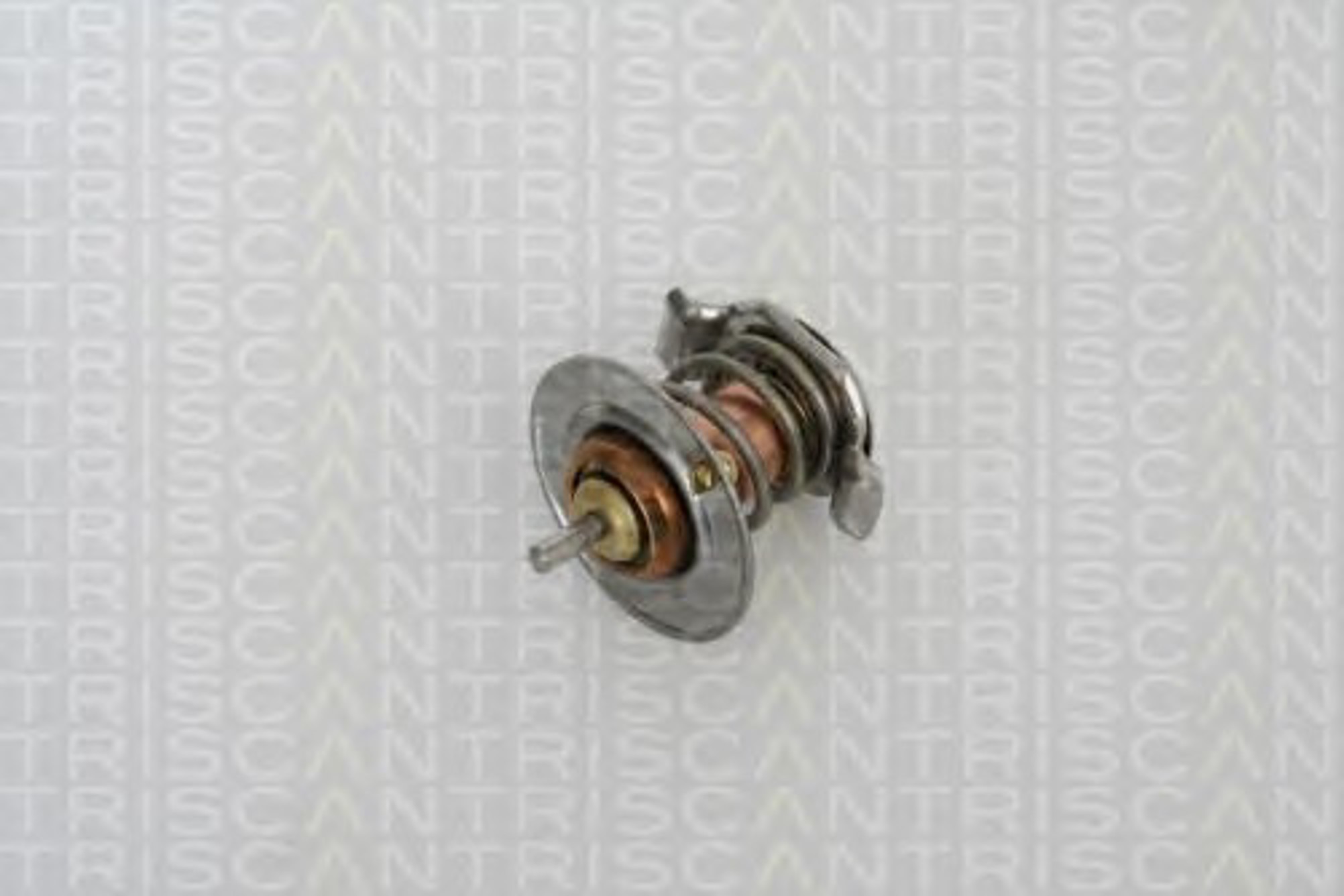 Термостат TRISCAN 8620 21891