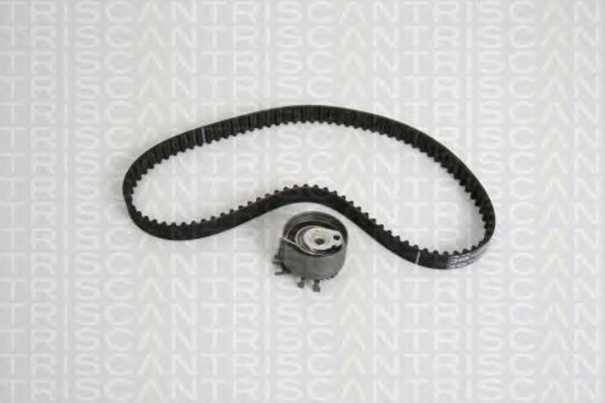 Комплект грм TRISCAN 8647 25031
