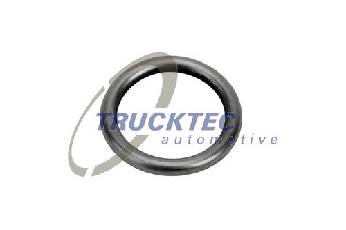 Шайба форсунки TRUCKTEC AUTOMOTIVE 01.10.220
