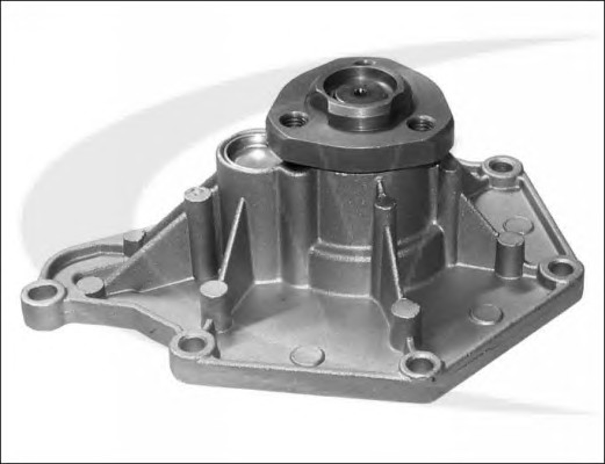 Насос водяной VAICO V10-50061
