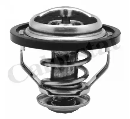 Термостат охлаждающая жидкость