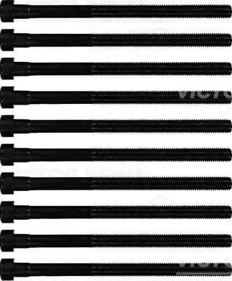 Комплект болтов головки блока цилиндров VICTOR REINZ 14-10213-01